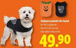 Lidl Halloweendräkt för hund erbjuda