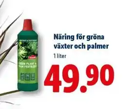 Lidl Näring för gröna växter och palmer erbjuda