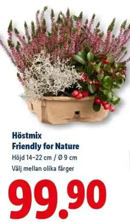 Lidl Höstmix Friendly for Nature erbjuda