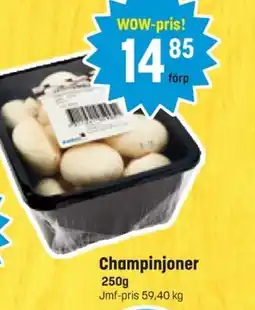 Eurocash Champinjoner erbjuda