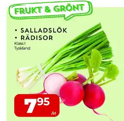 Matrix Butikerna Salladslök rädisor erbjuda