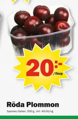 Pekås Röda Plommon erbjuda