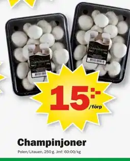 Pekås Champinjoner erbjuda
