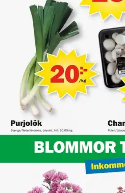 Pekås Purjolök erbjuda