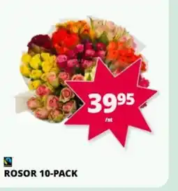 Tempo Rosor 10-pack erbjuda