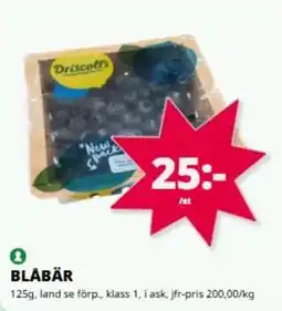 Tempo Blåbär erbjuda