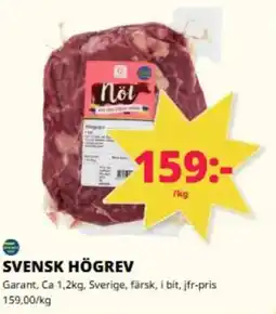 Tempo Svensk högrev erbjuda