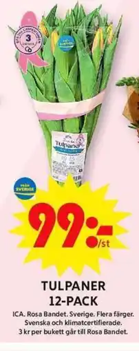 ICA Maxi Tulpaner 12-pack erbjuda