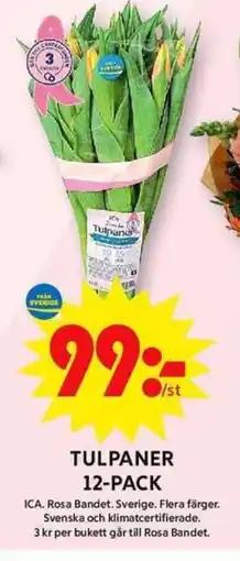ICA Maxi ICA Tulpaner 12-pack erbjuda