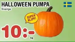 Nya Pulsen Halloween pumpa erbjuda