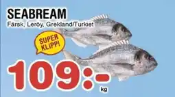 Nya Pulsen Seabream erbjuda