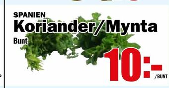 Matdax Koriander/Mynta erbjuda