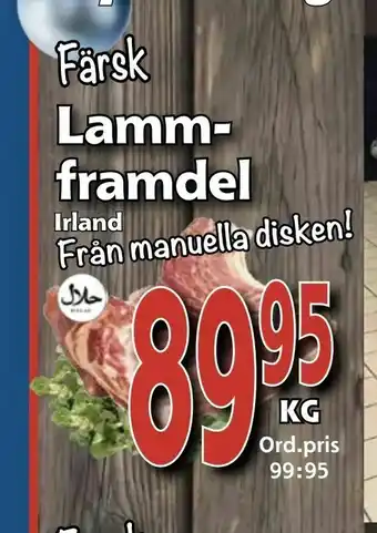 Lamm framdel