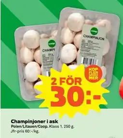 Stora Coop Champinjoner i ask, SEK 30 erbjuda