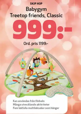 Skip Hop Babygym Treetop friends, Classic