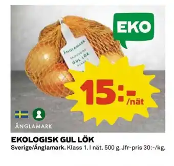 Coop Ekologisk gul lök erbjuda