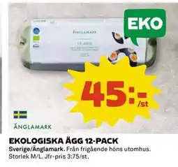 Coop Ekologiska ägg erbjuda
