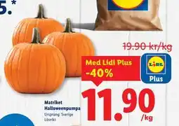 Lidl Matriket Halloweenpumpa, Pris i appen erbjuda