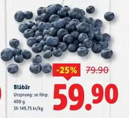Lidl Blåbär, SEK 59.9 erbjuda