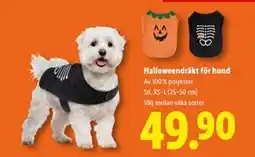 Lidl Halloweendräkt för hund, SEK 49.9 erbjuda