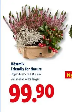 Lidl Höstmix Friendly for Nature, SEK 99.9 erbjuda