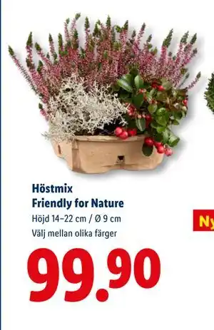 Lidl Höstmix Friendly for Nature, SEK 99.9 erbjuda