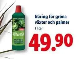 Lidl Näring för gröna växter och palmer, SEK 49.9 erbjuda