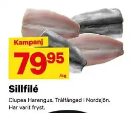 City Gross Sillfilé, SEK 79.95 erbjuda