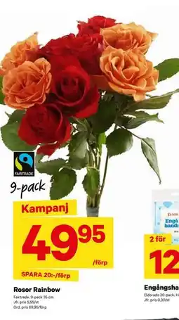 City Gross Rosor Rainbow, SEK 49.95 erbjuda
