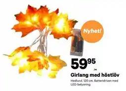 City Gross Girlang med höstlöv, SEK 59.95 erbjuda