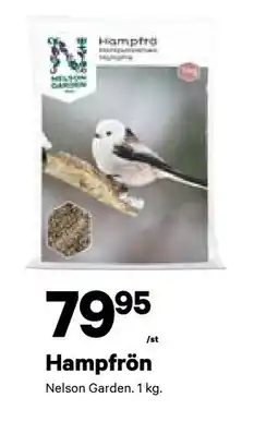 City Gross Hampfrön, SEK 79.95 erbjuda