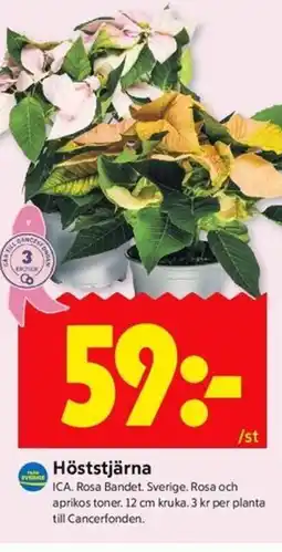ICA Kvantum ICA Höststjärna erbjuda