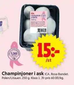 ICA Supermarket ICA Champinjoner i ask erbjuda