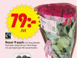 ICA Supermarket Rosor erbjuda