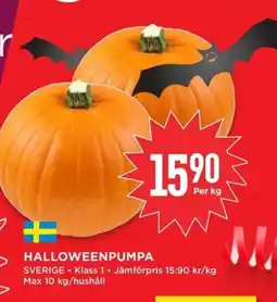 Willys Halloweenpumpa erbjuda