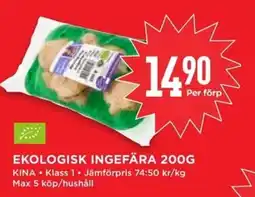 Willys Ekologisk ingefära erbjuda