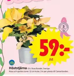 ICA Supermarket Höststjärna erbjuda