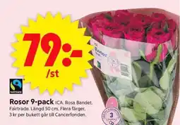 ICA Supermarket ROSOR 9-PACK erbjuda