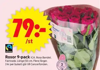 ICA Supermarket ROSOR 9-PACK erbjuda
