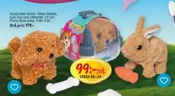 Leklust Hund eller Kanin, SEK 99 erbjuda