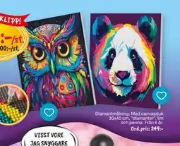 Leklust Diamantmålning. Med canvasduk, SEK 149 erbjuda