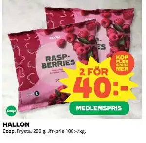 HALLON, Medlemspris