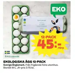 Coop Daglivs EKOLOGISKA ÄGG 12-PACK, SEK 45 erbjuda