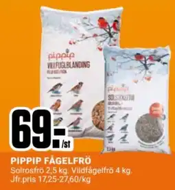 ÖoB Pippip fågelfrö erbjuda