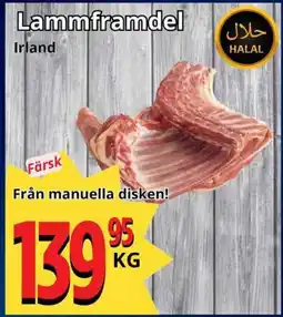Supergrossen Lammframdel erbjuda