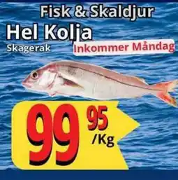Supergrossen Hel Kolja erbjuda