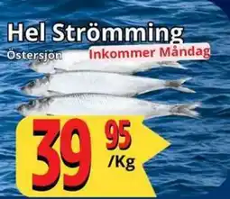 Supergrossen Hel Strömming erbjuda
