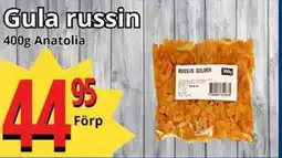 Supergrossen Gula russin erbjuda