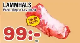 Nya Pulsen Lammhals erbjuda