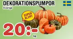 Nya Pulsen Dekorationspumpor erbjuda